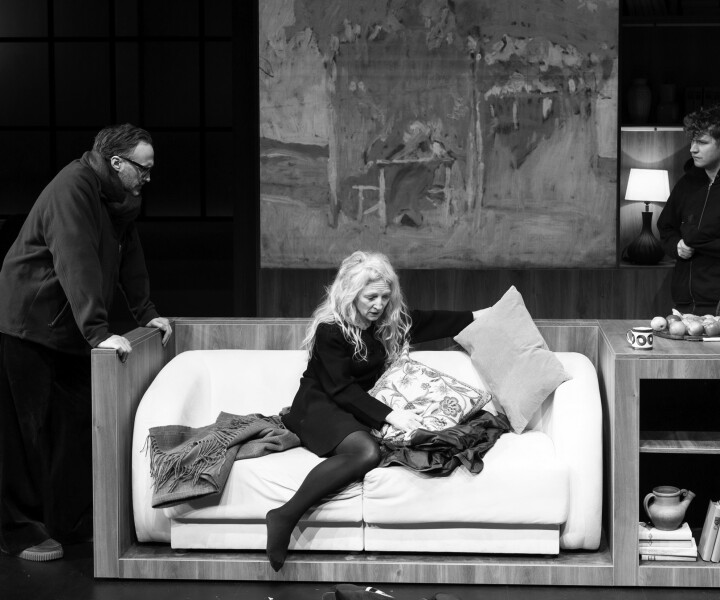 Iestudējums vēsta par lēno indivīda sabrukumu kroplas sistēmas dēļ. Ivars Krasts – Ēro, Guna Zariņa – Johanna, Ričards Murāns – Āpo. Skats no izrādes «Docentes». Foto – Jānis Deinats